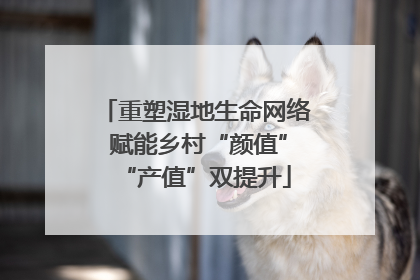 重塑湿地生命网络 赋能乡村“颜值”“产值”双提升