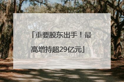 重要股东出手！最高增持超29亿元