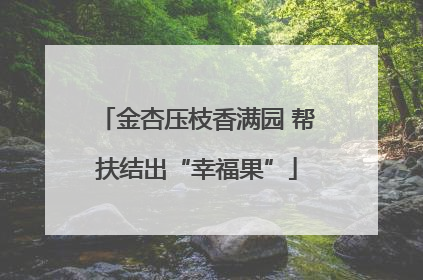 金杏压枝香满园 帮扶结出“幸福果”