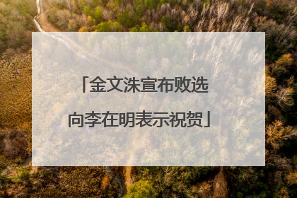金文洙宣布败选 向李在明表示祝贺