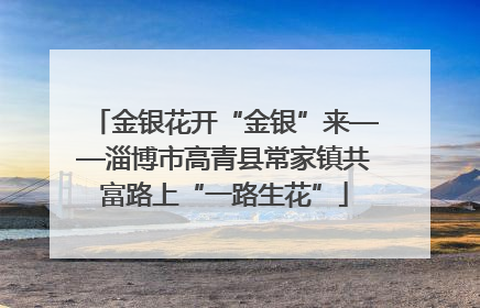 金银花开“金银”来——淄博市高青县常家镇共富路上“一路生花”