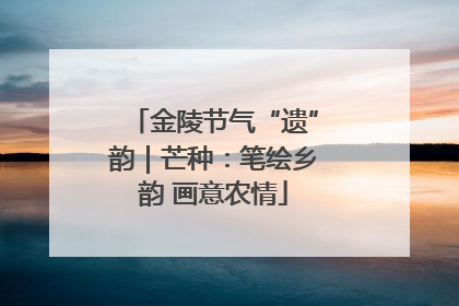 金陵节气“遗”韵｜芒种：笔绘乡韵 画意农情