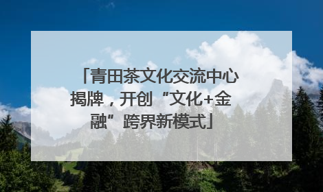 青田茶文化交流中心揭牌，开创“文化+金融”跨界新模式