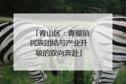 青山区：青福镇民族团结与产业升级的双向奔赴