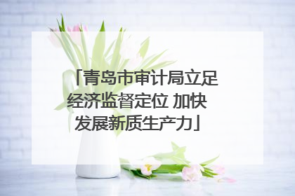 青岛市审计局立足经济监督定位 加快发展新质生产力