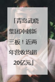 青岛武晓集团冲刺新三板！近两年营收均超20亿元