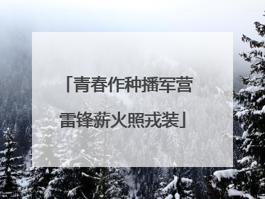 青春作种播军营 雷锋薪火照戎装