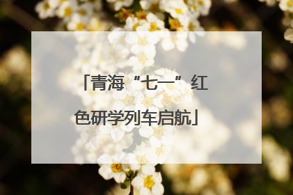 青海“七一”红色研学列车启航