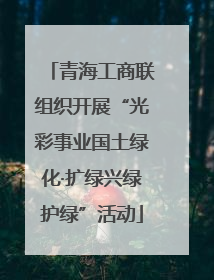 青海工商联组织开展“光彩事业国土绿化·扩绿兴绿护绿”活动