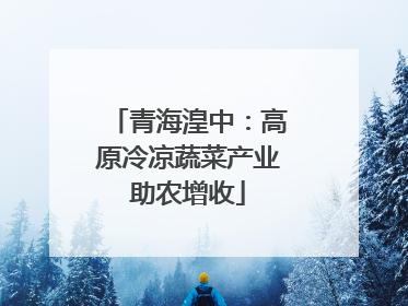 青海湟中：高原冷凉蔬菜产业助农增收