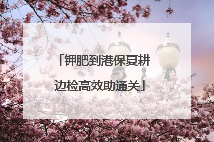 钾肥到港保夏耕 边检高效助通关