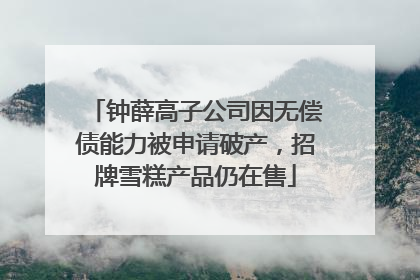 钟薛高子公司因无偿债能力被申请破产，招牌雪糕产品仍在售