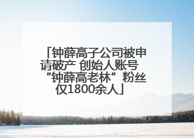 钟薛高子公司被申请破产 创始人账号“钟薛高老林”粉丝仅1800余人