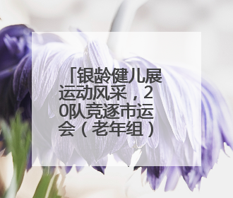 银龄健儿展运动风采，20队竞逐市运会（老年组）气排球赛
