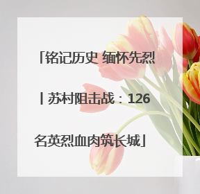 铭记历史 缅怀先烈丨苏村阻击战：126名英烈血肉筑长城