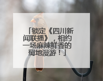 锁定《四川新闻联播》，相约一场麻辣鲜香的蜀地漫游！