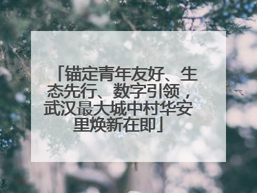 锚定青年友好、生态先行、数字引领，武汉最大城中村华安里焕新在即