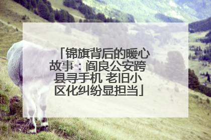锦旗背后的暖心故事：阎良公安跨县寻手机 老旧小区化纠纷显担当