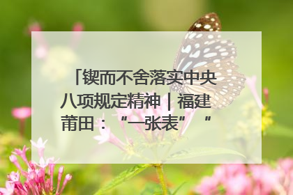 锲而不舍落实中央八项规定精神｜福建莆田：“一张表”“一张图”为基层减轻“数字负担”