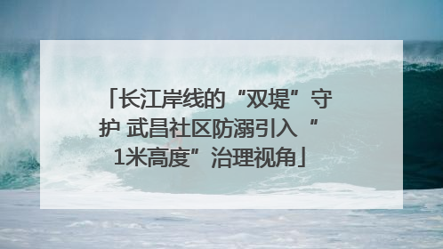 长江岸线的“双堤”守护 武昌社区防溺引入“1米高度”治理视角