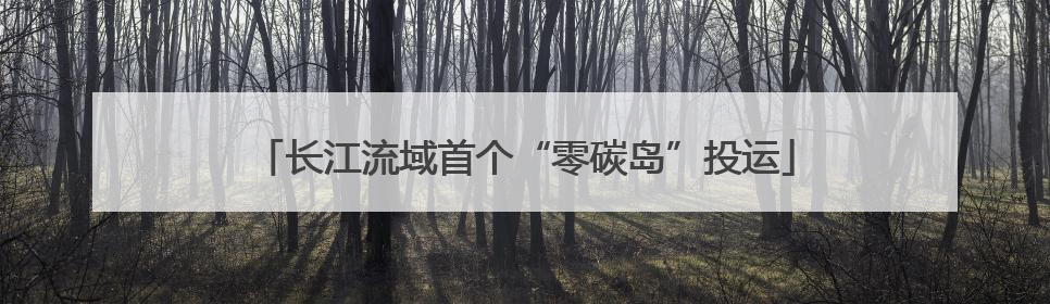 长江流域首个“零碳岛”投运