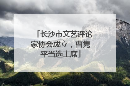 长沙市文艺评论家协会成立，曹隽平当选主席