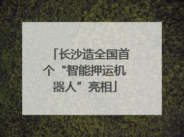 长沙造全国首个“智能押运机器人”亮相