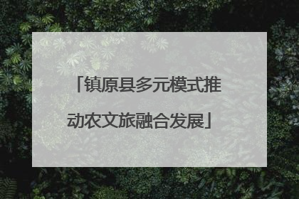 镇原县多元模式推动农文旅融合发展
