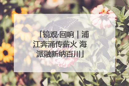 镜观·回响｜浦江奔涌传薪火 海派融新纳百川