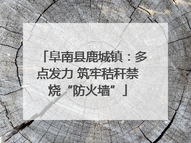 阜南县鹿城镇：多点发力 筑牢秸秆禁烧“防火墙”
