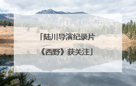 陆川导演纪录片《西野》获关注