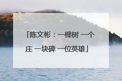 陈文彬：一棵树 一个庄 一块碑 一位英雄