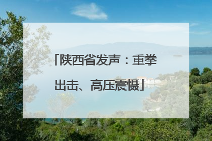 陕西省发声：重拳出击、高压震慑