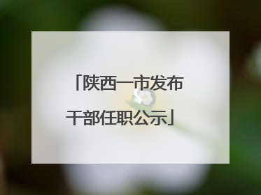 陕西一市发布干部任职公示