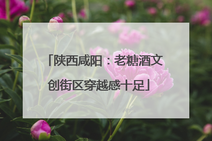 陕西咸阳：老糖酒文创街区穿越感十足