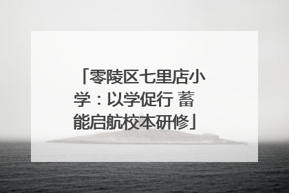 零陵区七里店小学：以学促行 蓄能启航校本研修