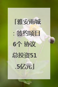雅安雨城：签约项目6个 协议总投资51.5亿元