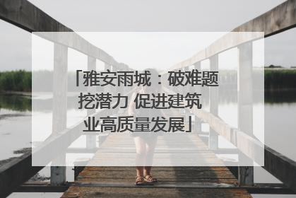 雅安雨城：破难题 挖潜力 促进建筑业高质量发展