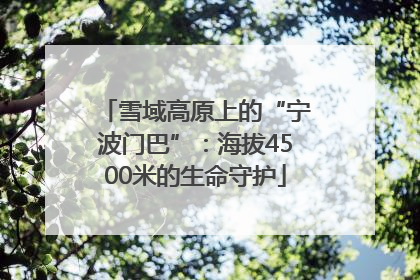 雪域高原上的“宁波门巴”：海拔4500米的生命守护