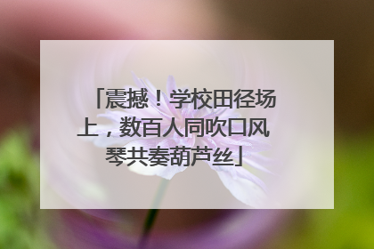 震撼！学校田径场上，数百人同吹口风琴共奏葫芦丝