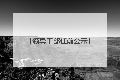 领导干部任前公示