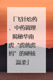 飞针给药、中药调理 揭秘华南虎“虎爸虎妈”的硬核温柔