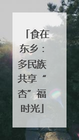 食在东乡：多民族共享“杏”福时光