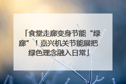食堂走廊变身节能“绿廊”！嘉兴机关节能展把绿色理念融入日常