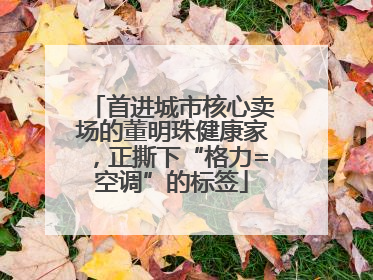 首进城市核心卖场的董明珠健康家，正撕下“格力=空调”的标签