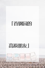 首钢园的高原朋友