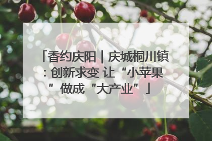 香约庆阳｜庆城桐川镇：创新求变 让“小苹果”做成“大产业”