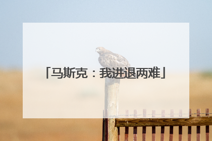 马斯克：我进退两难