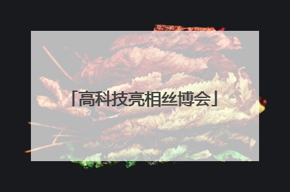 高科技亮相丝博会