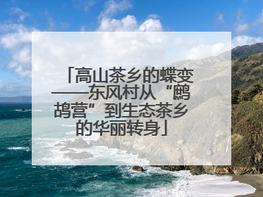 高山茶乡的蝶变——东风村从“鹧鸪营”到生态茶乡的华丽转身
